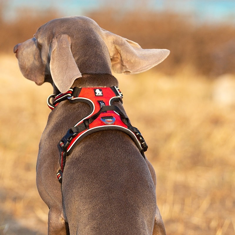 Truelove-Arnés de nailon reflectante para perros, chaleco de seguridad para mascotas traviesas medianas y grandes, sin tirone...