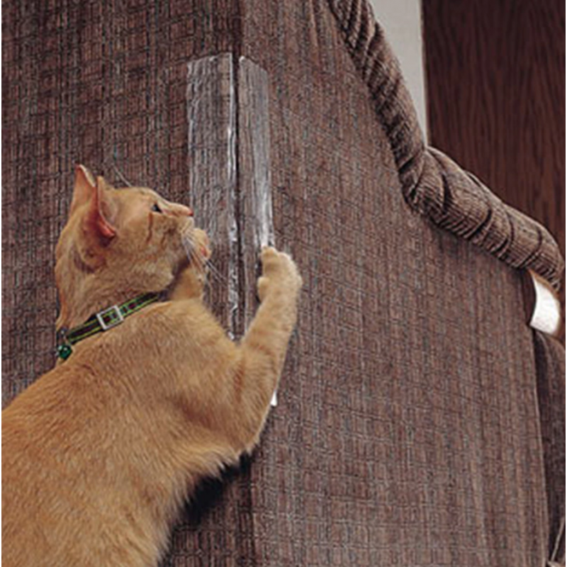Gomaomi auto-adhesivo gato que rasca muebles Protector sofá Protector para muebles de almeja Internacional